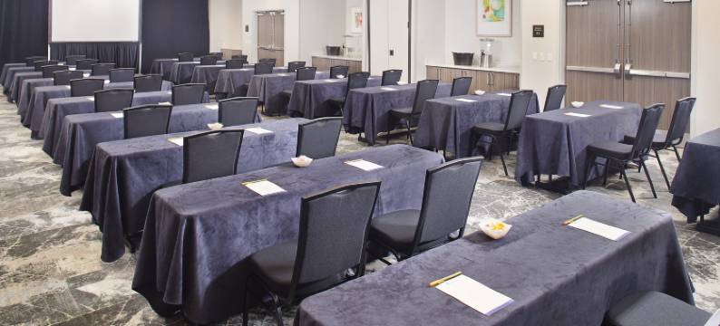 希尔顿花园旅馆-达拉斯南阿林顿(Hilton Garden Inn Dallas/Arlington South)图片