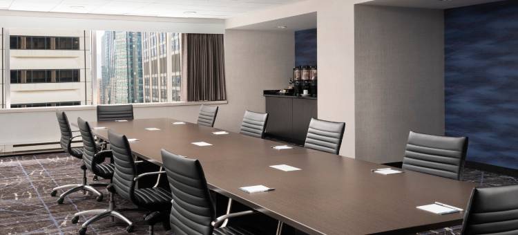 芝加哥市中心/壮丽大道希尔顿欢朋酒店(Hampton Inn Chicago Downtown/Magnificent Mile)图片