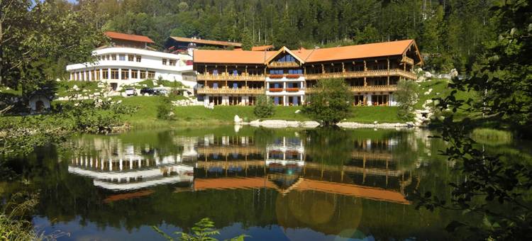 Feuriger Tatzlwurm图片