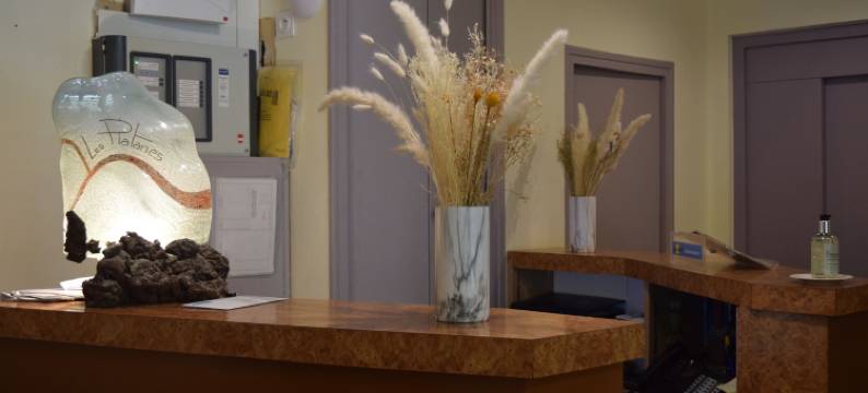 梧桐酒店和公寓(Hôtel et Appartements les Platanes)图片