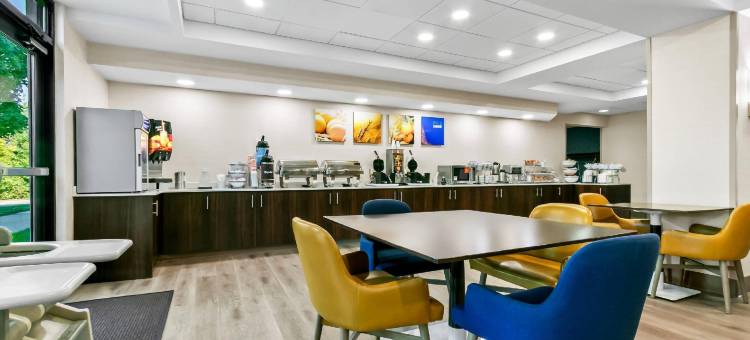 舒适套房酒店大布兰克/弗林特(Comfort Inn & Suites Grand Blanc-Flint)图片