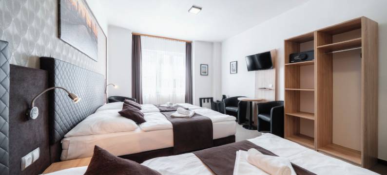 霍默斯拉尼旅馆(Penzion Homér Slaný)图片