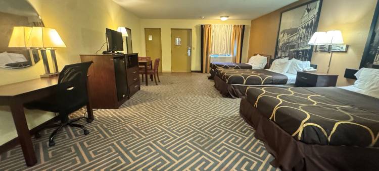 劳雷尔速8酒店(Super 8 by Wyndham Laurel)图片