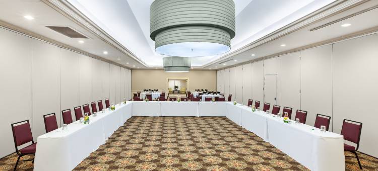 Holiday Inn 泰勒 - 南百老汇(Holiday Inn TYLER - CONFERENCE CENTER by IHG)图片