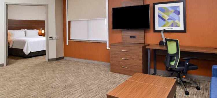 布法罗市中心智选假日套房酒店(Holiday Inn Express & Suites Buffalo Downtown - Medical Ctr)图片