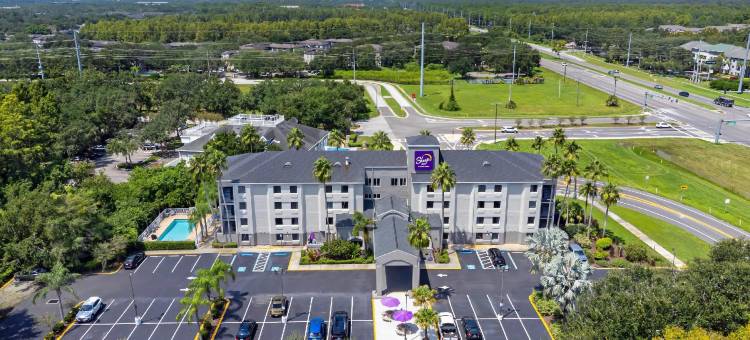 布希花园附近舒眠酒店-USF(Sleep Inn Near Busch Gardens - USF)图片