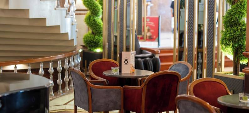 伊斯坦布尔阿克居恩，豪华系列酒店(Akgun Istanbul Hotel, Worldhotels Elite)图片