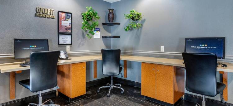 蓝绿度假俱乐部36号-雅高臻选度假村(Bluegreen Vacations Club 36)图片