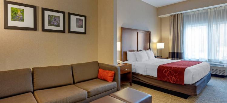 舒适套房酒店-安克雷奇国际机场(Comfort Suites Anchorage International Airport)图片