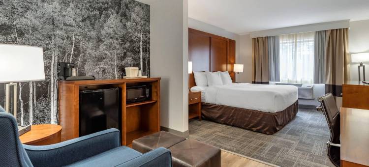 埃弗格林百汇金西舒适套房酒店(Comfort Suites Golden West on Evergreen Parkway)图片