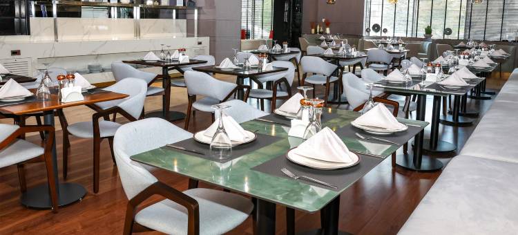 安卡拉因瑟克希尔顿逸林酒店(DoubleTree by Hilton Ankara Incek)图片