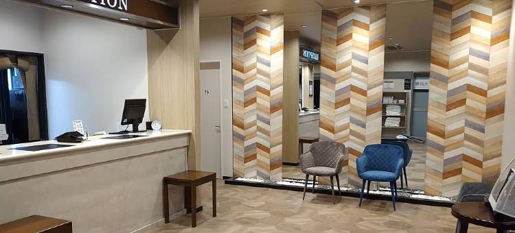 新盖亚酒店-饭冢(Hotel New Gaea Iizuka)图片