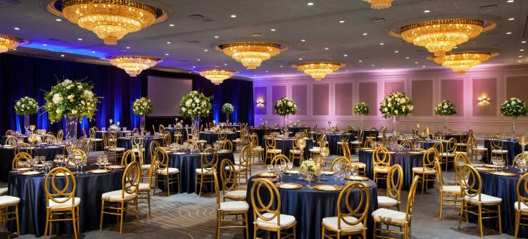 盖勒瑞亚休斯顿威斯汀酒店(The Westin Galleria Houston)图片