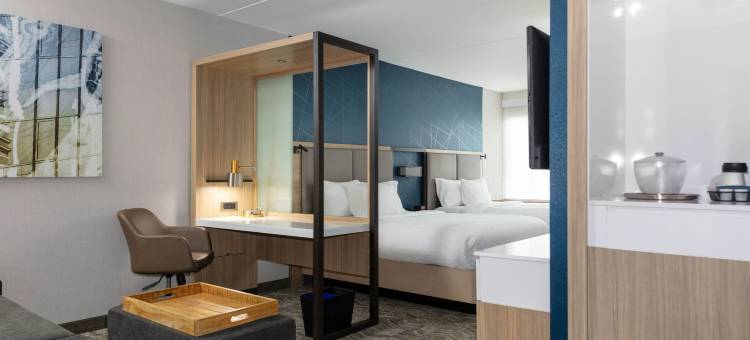 马里奥特杜汉姆市景观SpringHill套房(SpringHill Suites Durham City View)图片