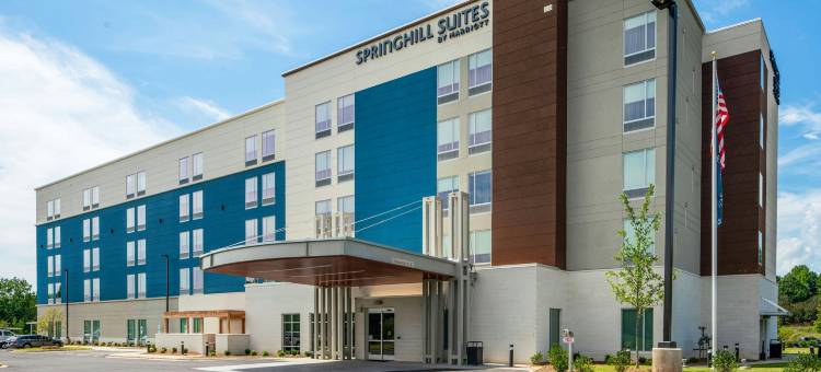 夏洛特机场莱克波因特SpringHill Suites酒店(SpringHill Suites Charlotte Airport Lake Pointe)图片
