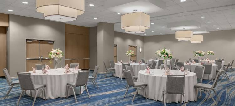 威斯汀水晶市雷根国家机场酒店(The Westin Crystal City Reagan National Airport)图片