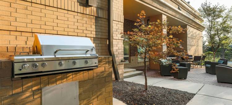 芝加哥内珀维尔Residence Inn 酒店(Residence Inn Chicago Naperville/Warrenville)图片