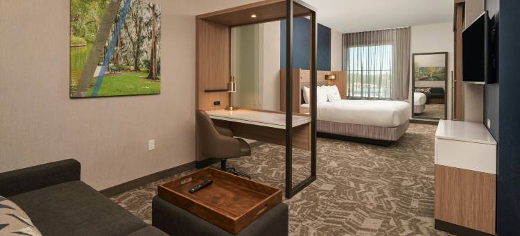 Marriott温特帕克的SpringHill套房(SpringHill Suites by Marriott Winter Park)图片