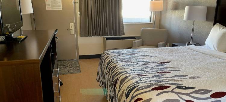 宾夕凡尼亚萨默塞特红屋顶酒店(Red Roof Inn Somerset, PA)图片