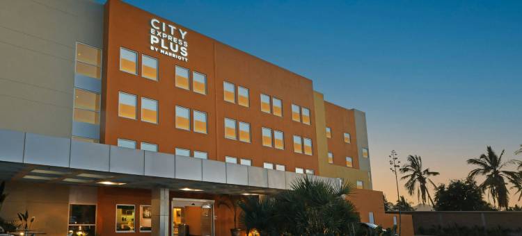 万豪城市快捷普拉斯卡波圣卢卡斯(City Express Plus by Marriott Cabo San Lucas)图片
