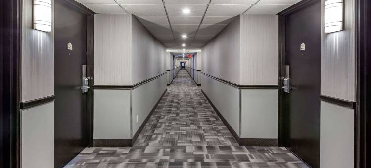 凯艺会议中心酒店(Quality Inn & Conference Centre)图片