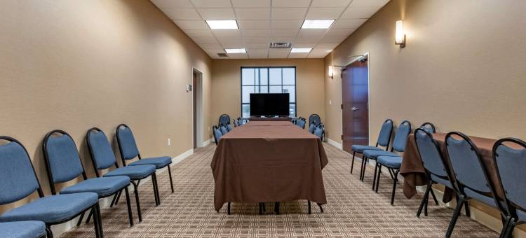 机场-大学舒适套房酒店(Comfort Suites Airport-University)图片