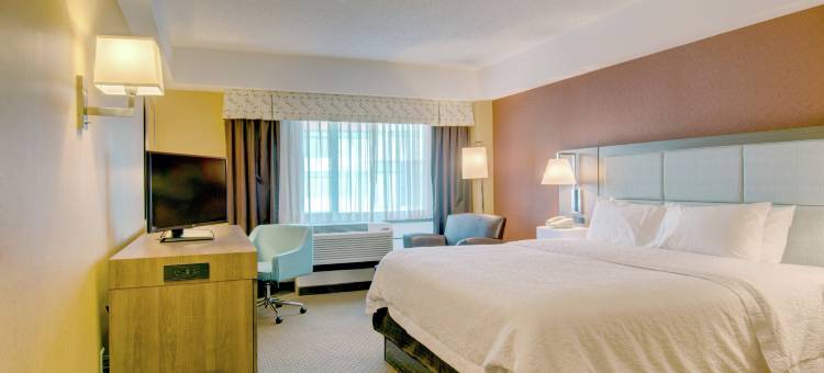 希尔顿欢朋套房酒店-波士顿市中心(Hampton Inn & Suites Boston Crosstown Center)图片