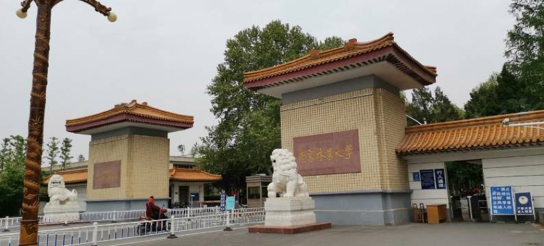 南京暖室小居公寓NO.5图片