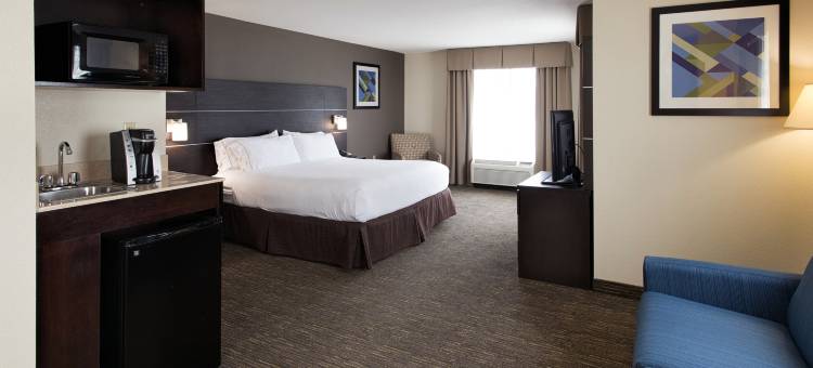 智选假日套房酒店安多弗东54威奇托(Holiday Inn Express & Suites East Wichita I-35 Andover)图片
