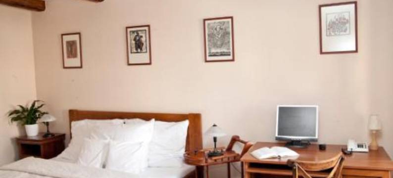 泽拉特霍拉瓦酒店(Hotel U Zlatého Lva)图片