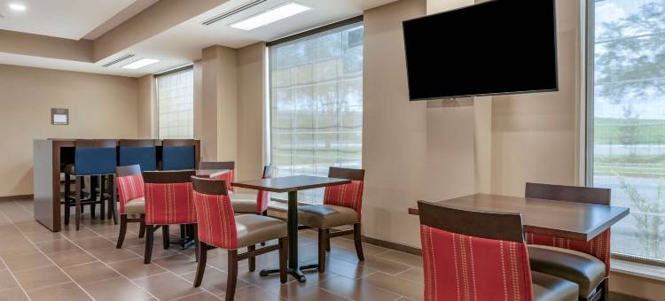 代托纳比奇市赛道舒适套房酒店(Comfort Suites Daytona Beach-Speedway)图片