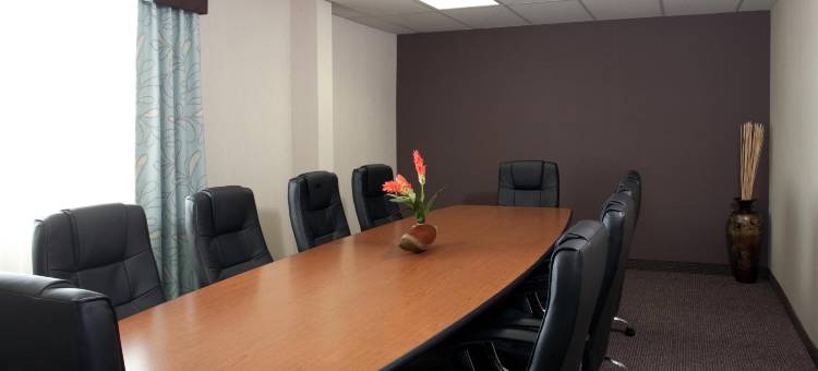 莱斯布里奇海岸酒店及会议中心(Coast Lethbridge Hotel & Conference Centre)图片