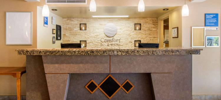 舒适套房酒店(Comfort Inn & Suites Shawinigan)图片