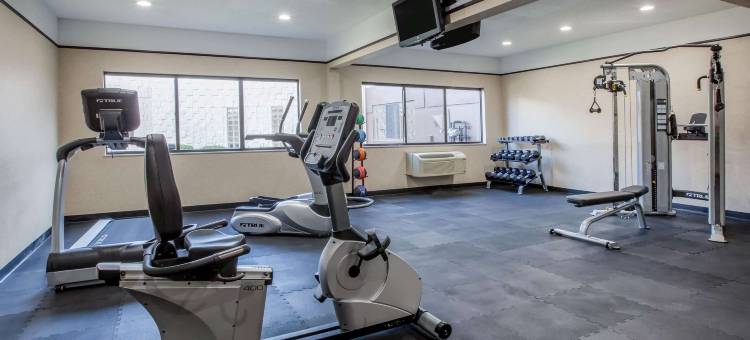 罗切斯特希尔斯戴斯套房酒店(Days Inn & Suites by Wyndham Rochester Hills MI)图片