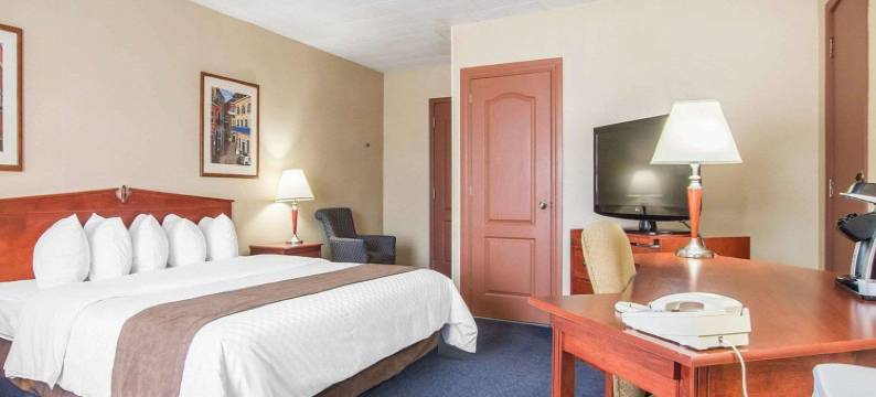 多瑙河蓝酒店(Hotel Danube Bleu)图片