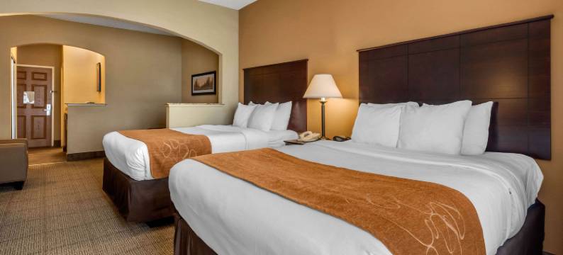 66 号公路附近舒适全套房酒店(Comfort Suites Near Route 66)图片