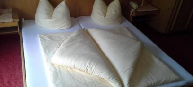 瓦尔多夫酒店(Waldhof)图片