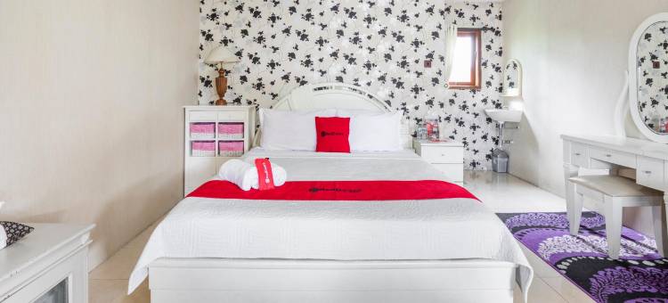 红多兹Plus酒店@普沃达迪(RedDoorz Plus @ Purwodadi)图片