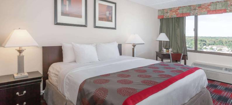 奥尔巴尼广场酒店(Albany Plaza Hotel)图片