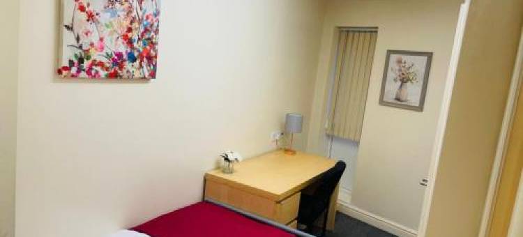 OYO桑哈之家 - 短期住宿(Sangha House - Short Stays)图片