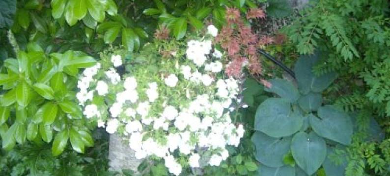 La Casita Con Piscina Privada de Tres Dormitorios图片