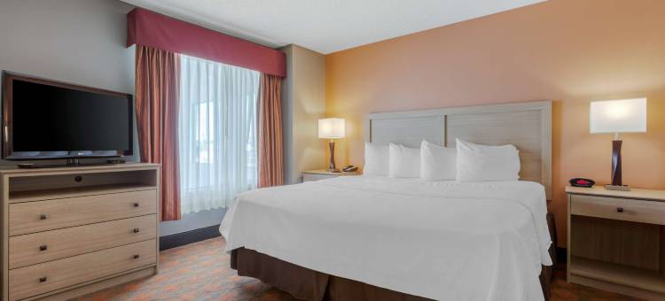 佩克斯贝斯特韦斯特酒店(Best Western Pecos Inn)图片