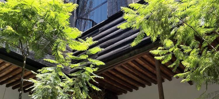 莱昂柯布艾琳娜酒店 - 设计酒店会员(Elena de Cobre, Leon, a Member of Design Hotels)图片