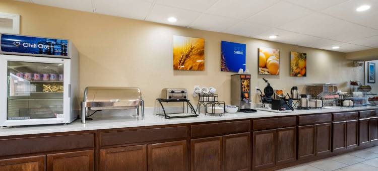 舒适酒店及套房印第安纳波利斯西北 - 学院公园(Comfort Inn & Suites Indianapolis Northwest - College Park)图片