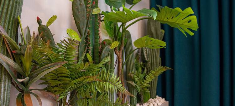 徐州松鼠民宿(铜山万达广场店)图片