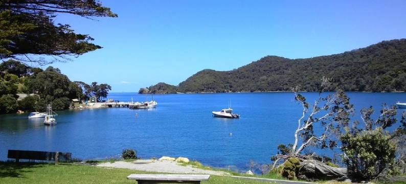 大屏障岛山林小屋(Great Barrier Lodge)图片