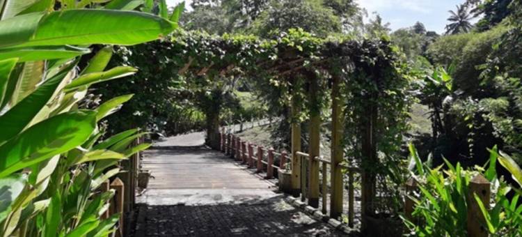 锦城自然度假村(Botanica Nature Resort)图片