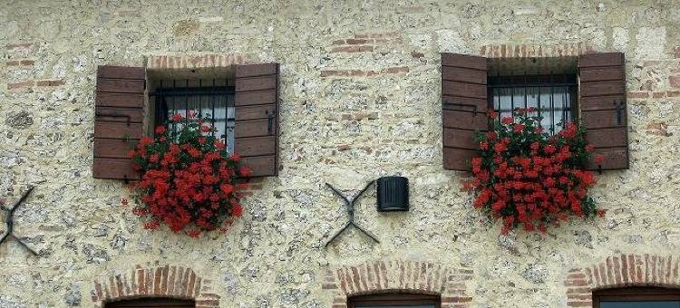 卡诺奇阿泽达农家乐(Azienda Agrituristica Calronche)图片