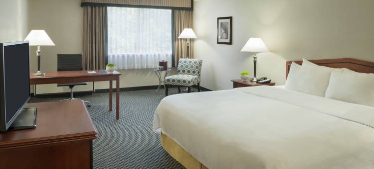 多伦多当谷套房酒店(Toronto Don Valley Hotel)图片