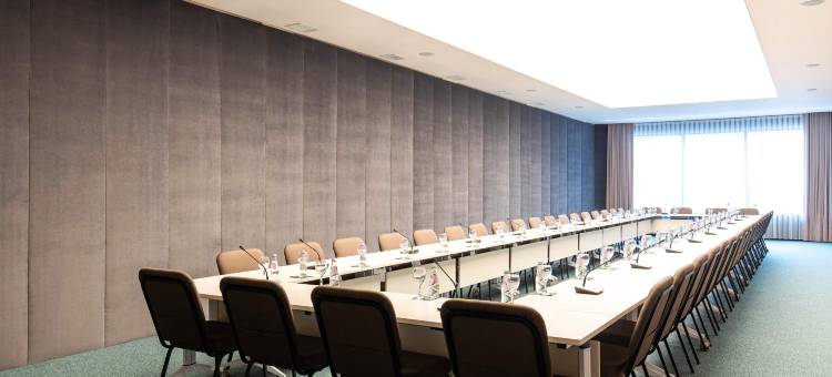 阿法酒店(Hotel Afa)图片